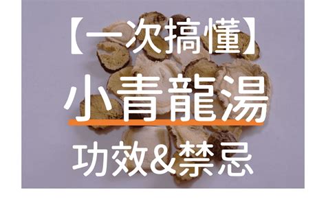 葛根湯加小青龍湯|3大小青龍湯功效及小青龍湯禁忌，可以長期服用嗎？。